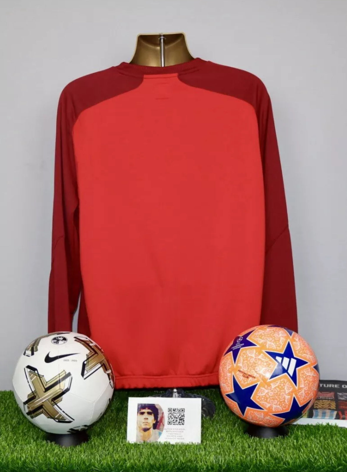 Wales 2012/13 Player Issue/Worn Training Sweatshirt #3