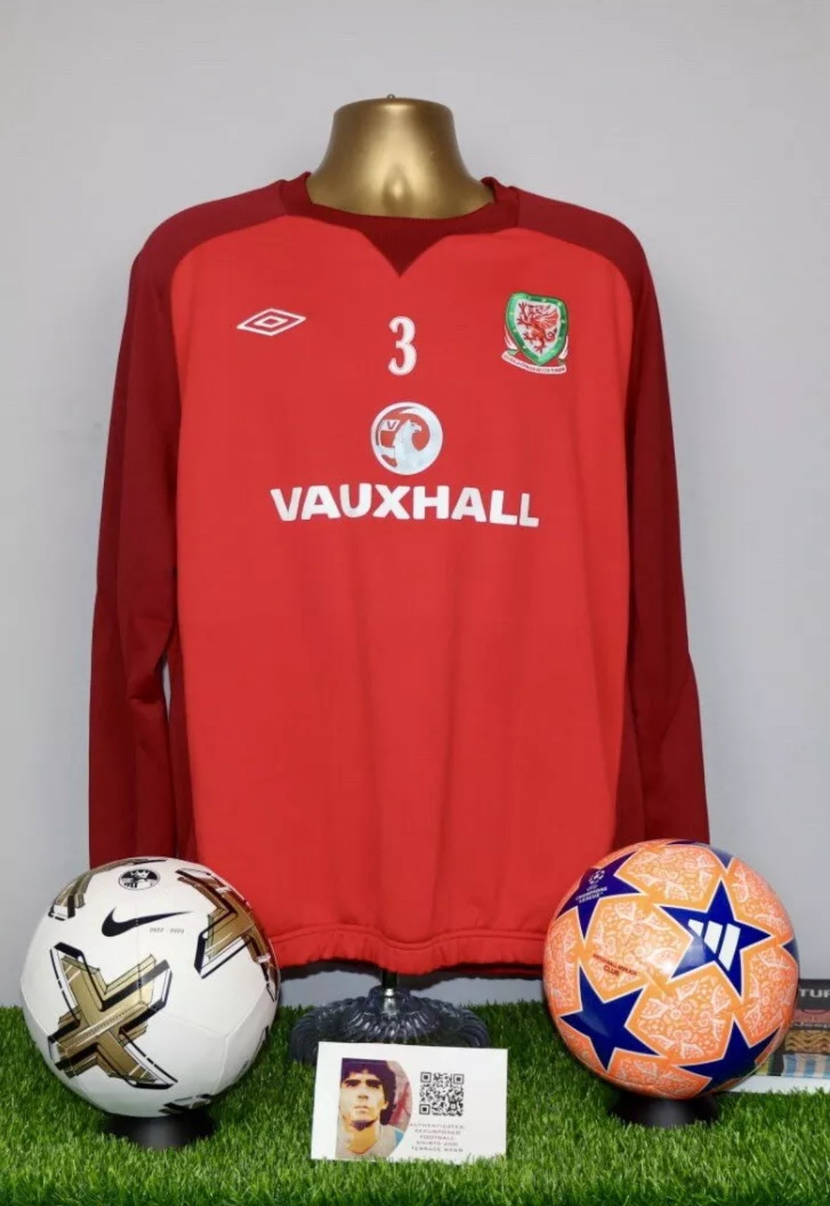 Wales 2012/13 Player Issue/Worn Training Sweatshirt #3