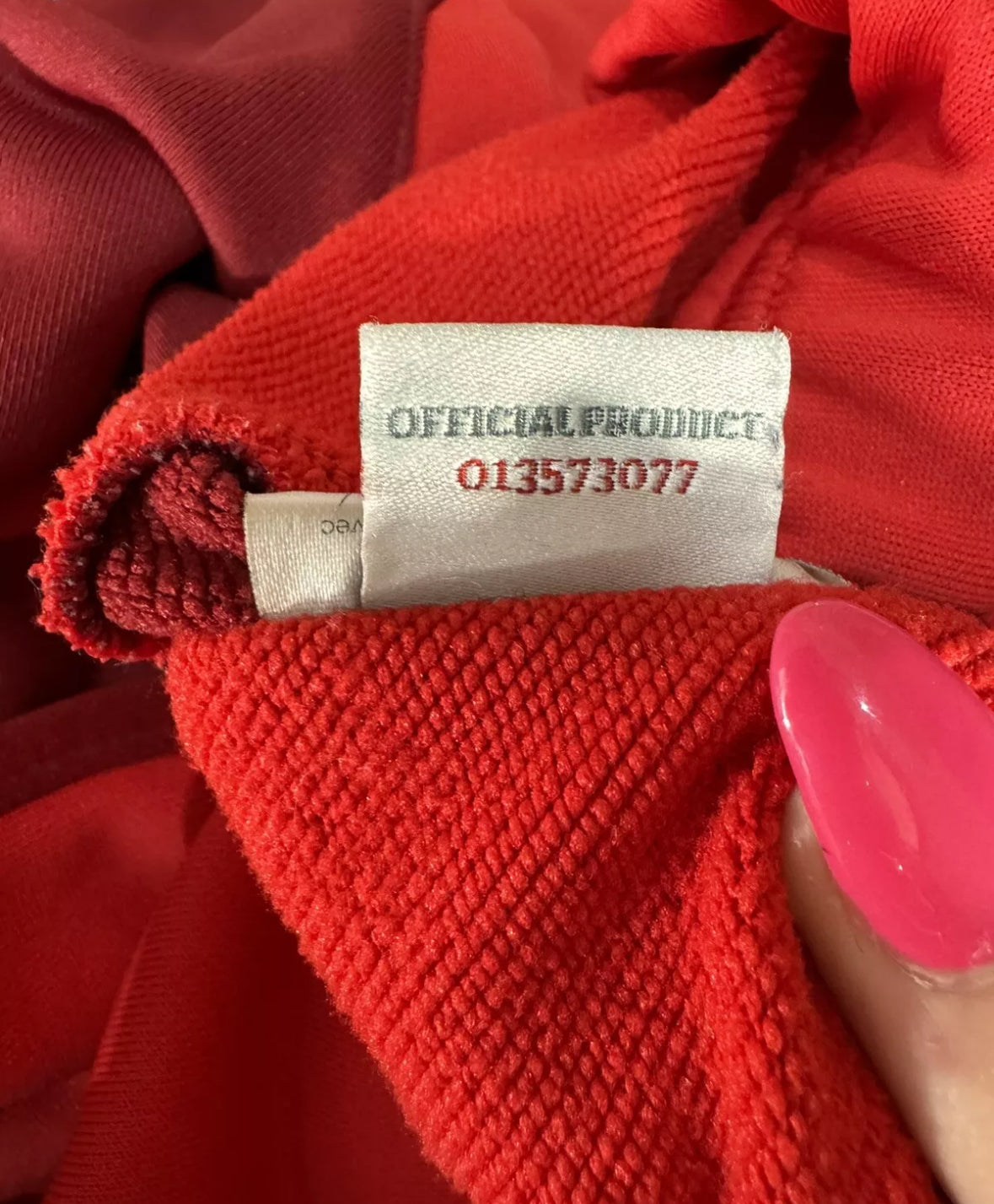 Wales 2012/13 Player Issue/Worn Training Sweatshirt #3