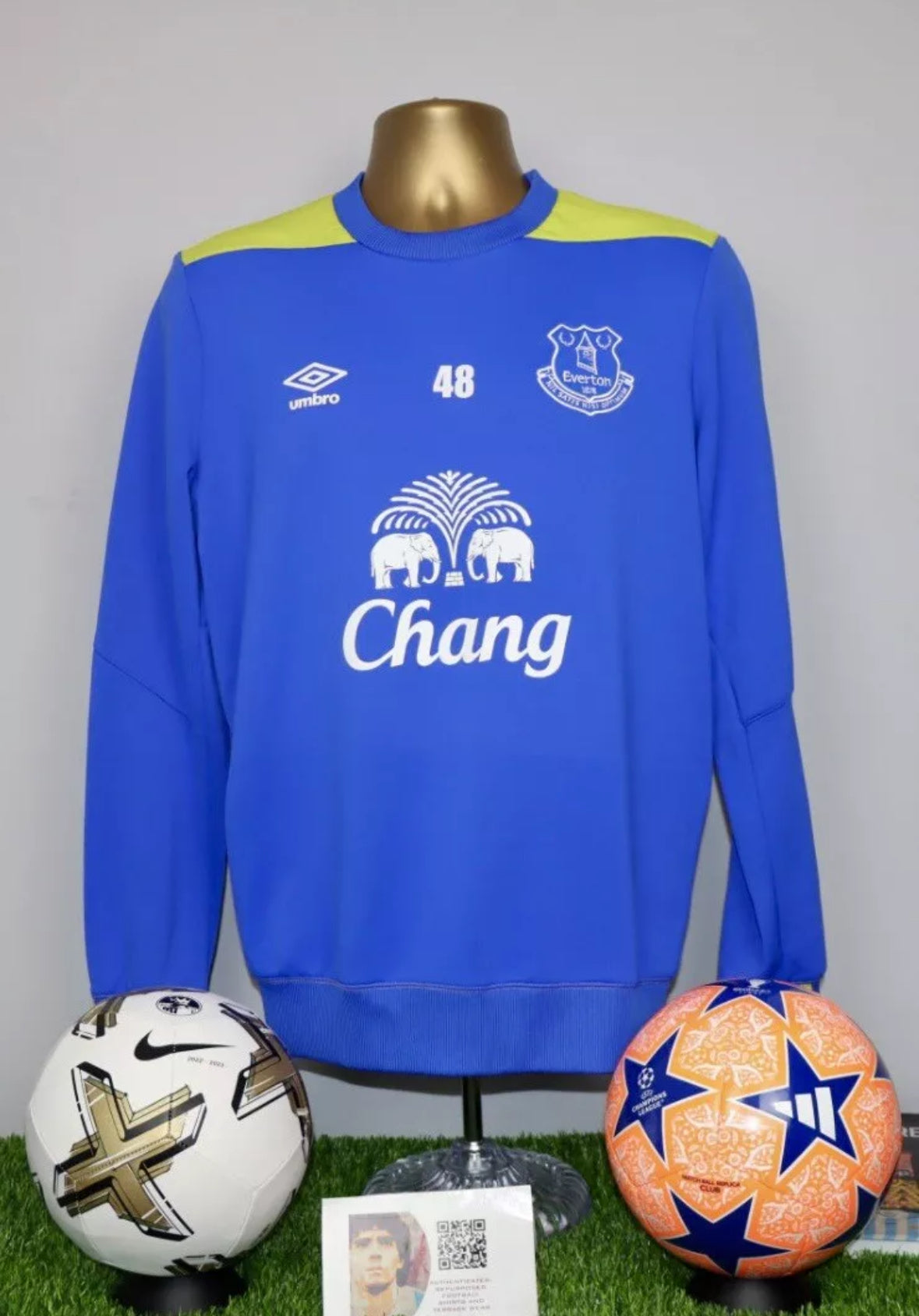 EVERTON 2015/2016 PLAYER ISSUE TRAINING TOP 48