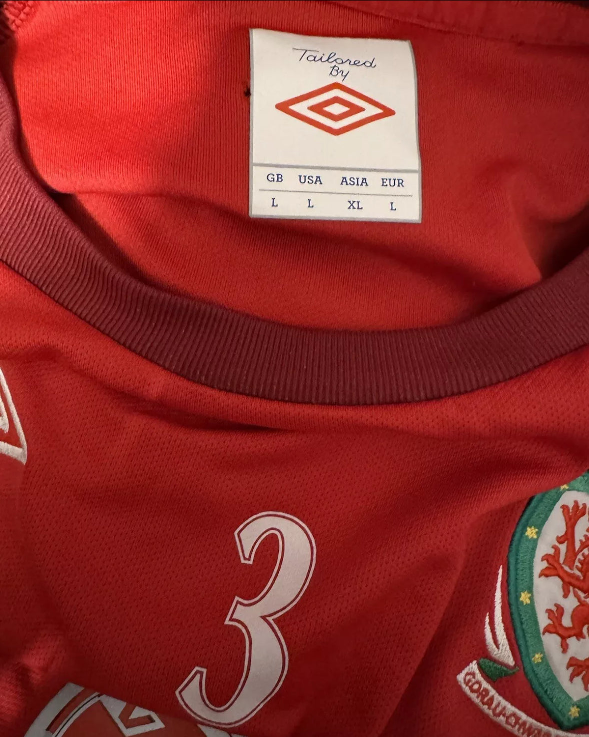Wales Player Issue Training T-Shirt #3
