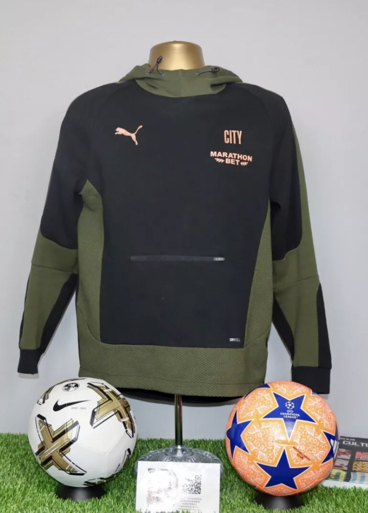 Manchester City Puma Hoodie Evostripe