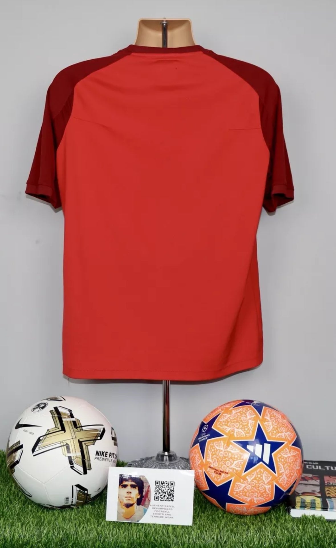 Wales Player Issue Training T-Shirt #3