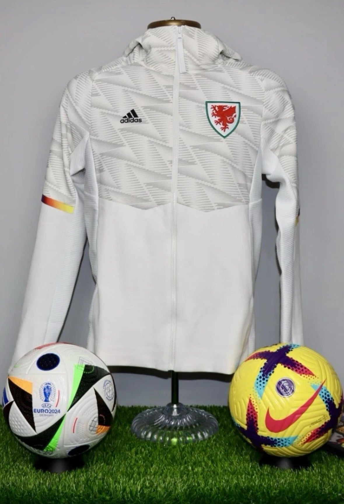 Wales 2022/23 Gameday Hooded Jacket