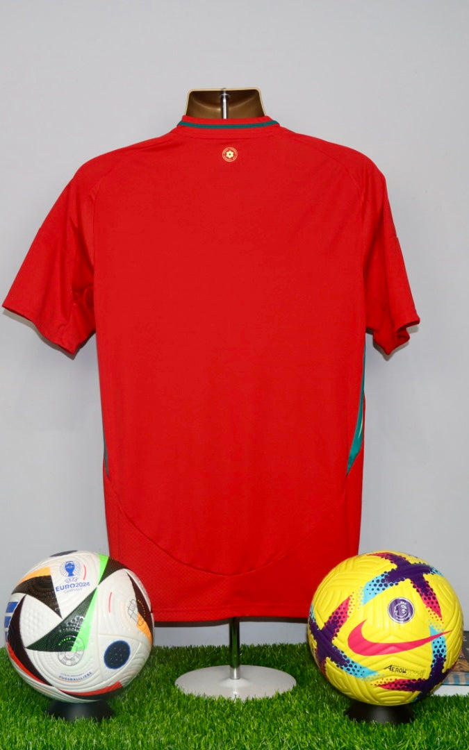Wales 2024/25 Home Shirt