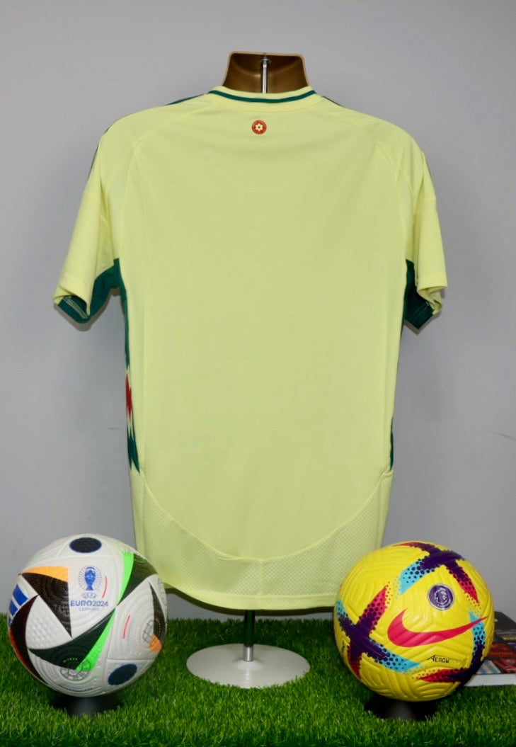 Wales 2024/25 Away Shirt
