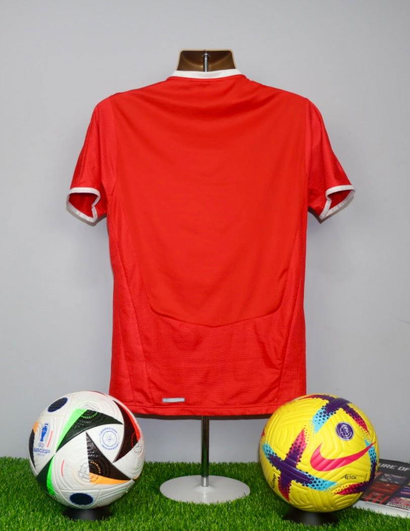 Switzerland 2008/10 Home Shirt