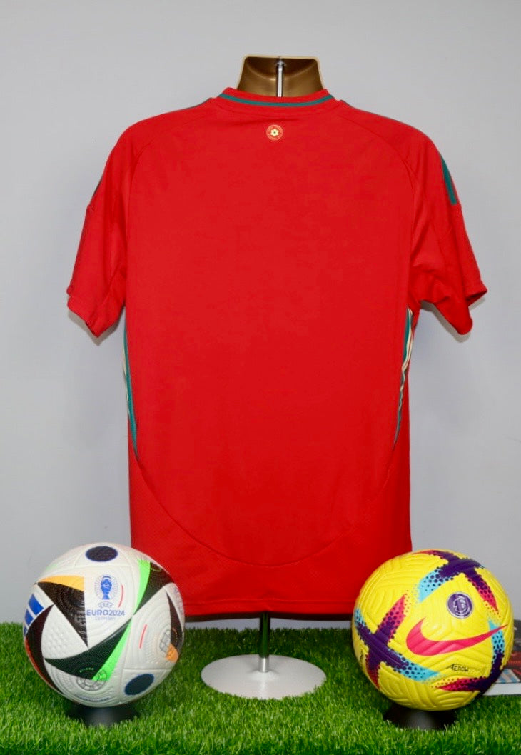 Wales 2024/25 Home Shirt