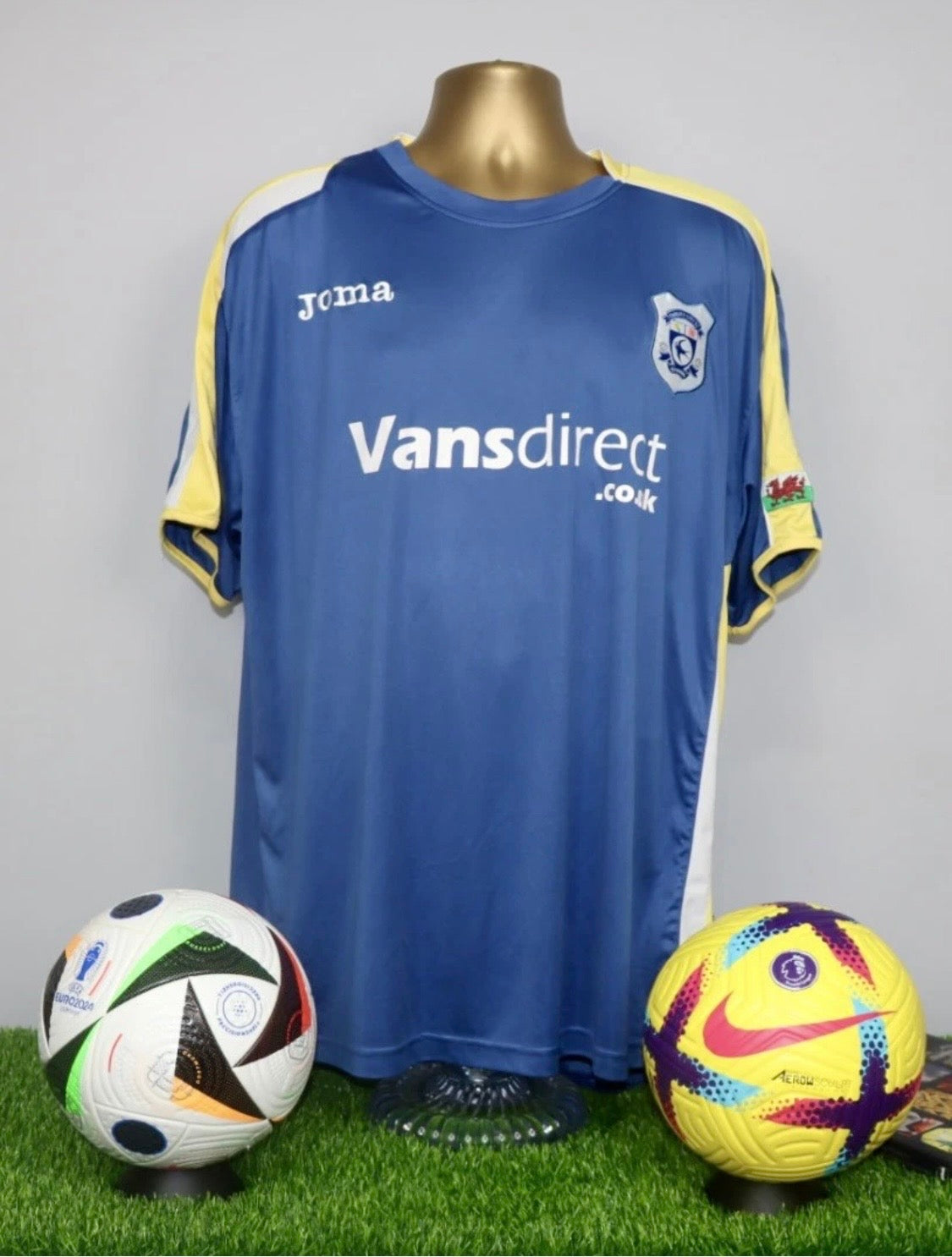 Cardiff City 2008/09 Home Shirt