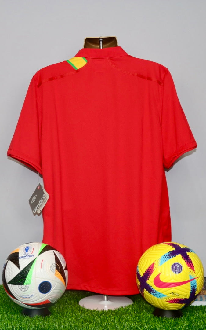 Wales 2012/14 Home Shirt