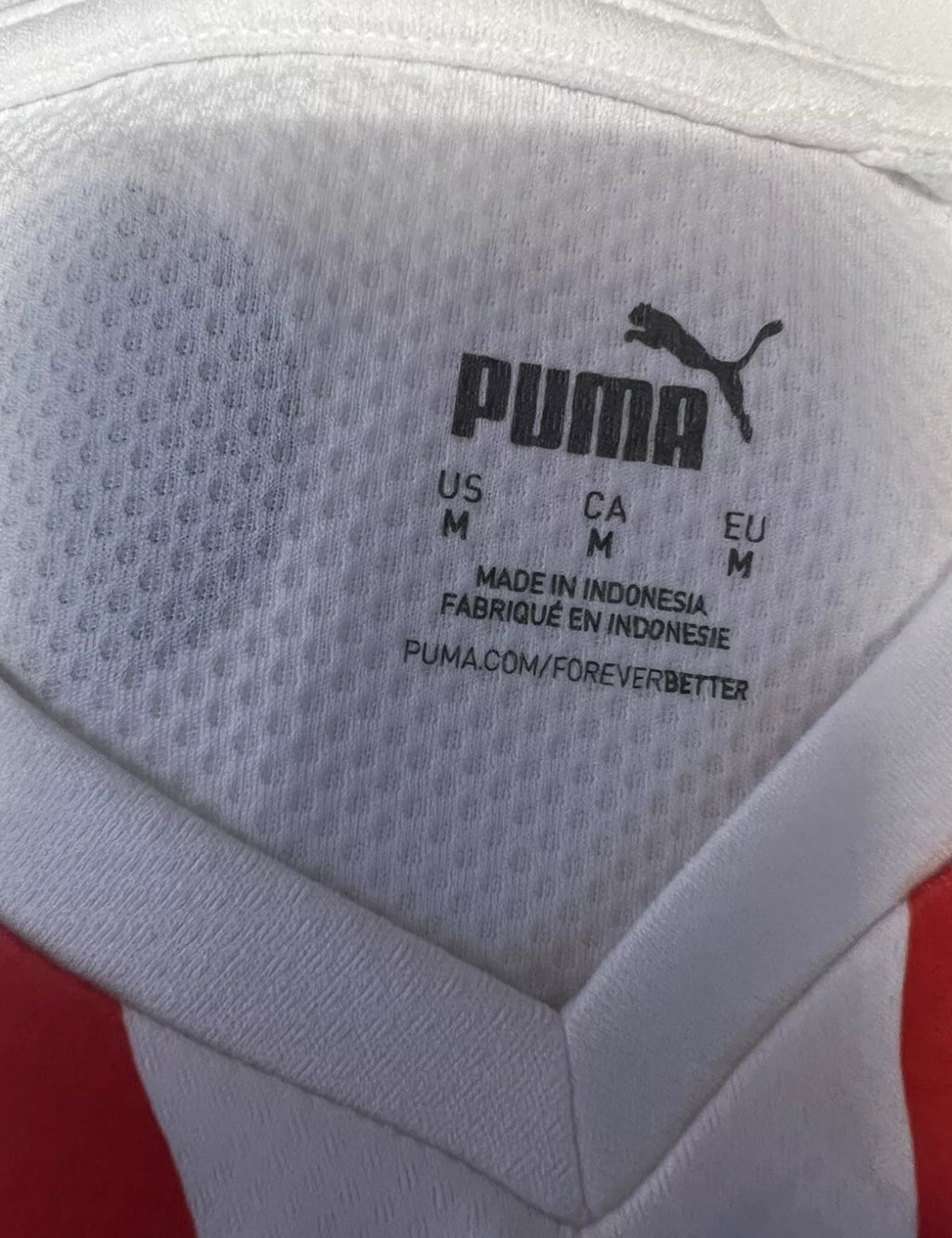 PSV Eindhoven 2022/23 Home Shirt