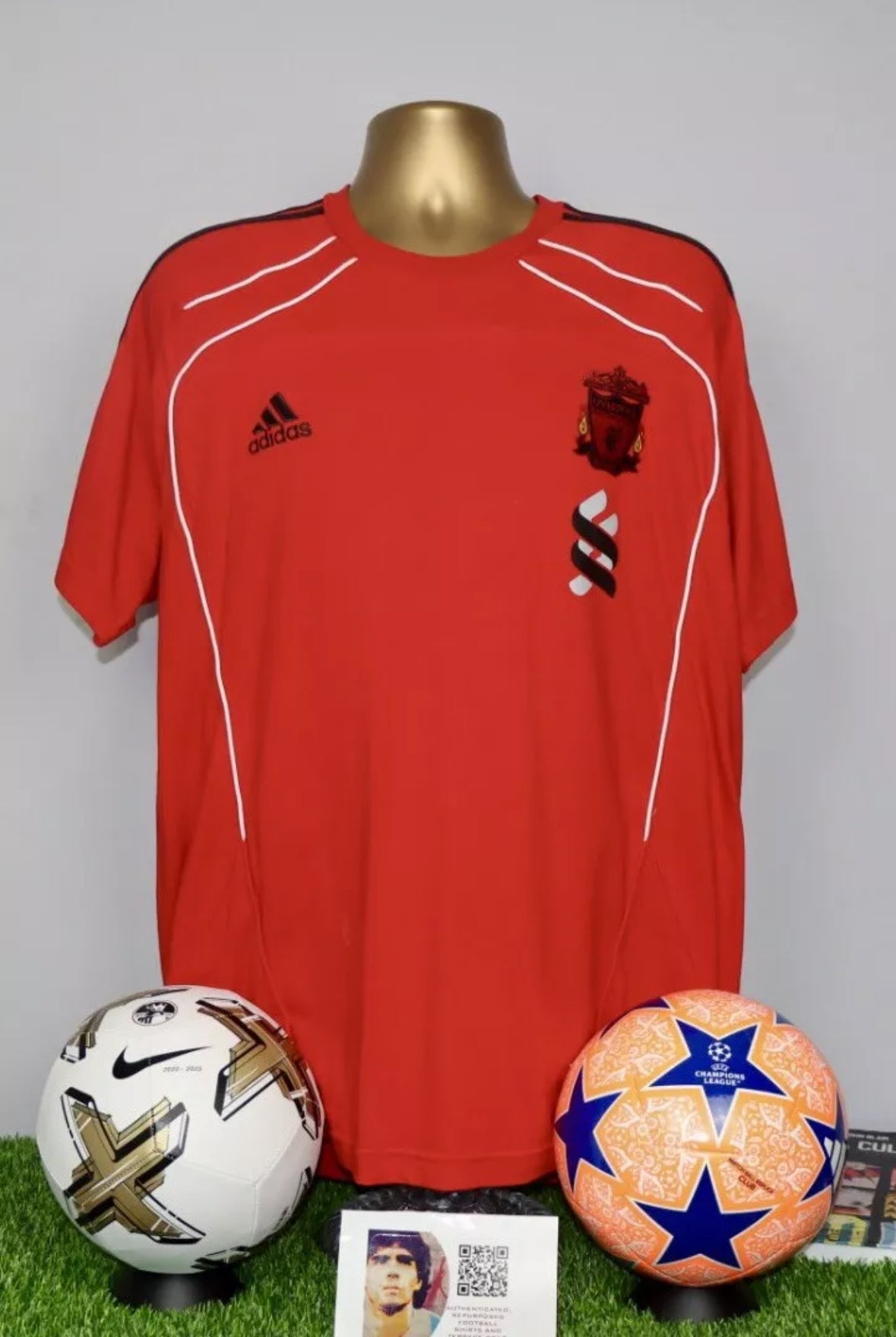 Liverpool 2010/11 Training T-Shirt